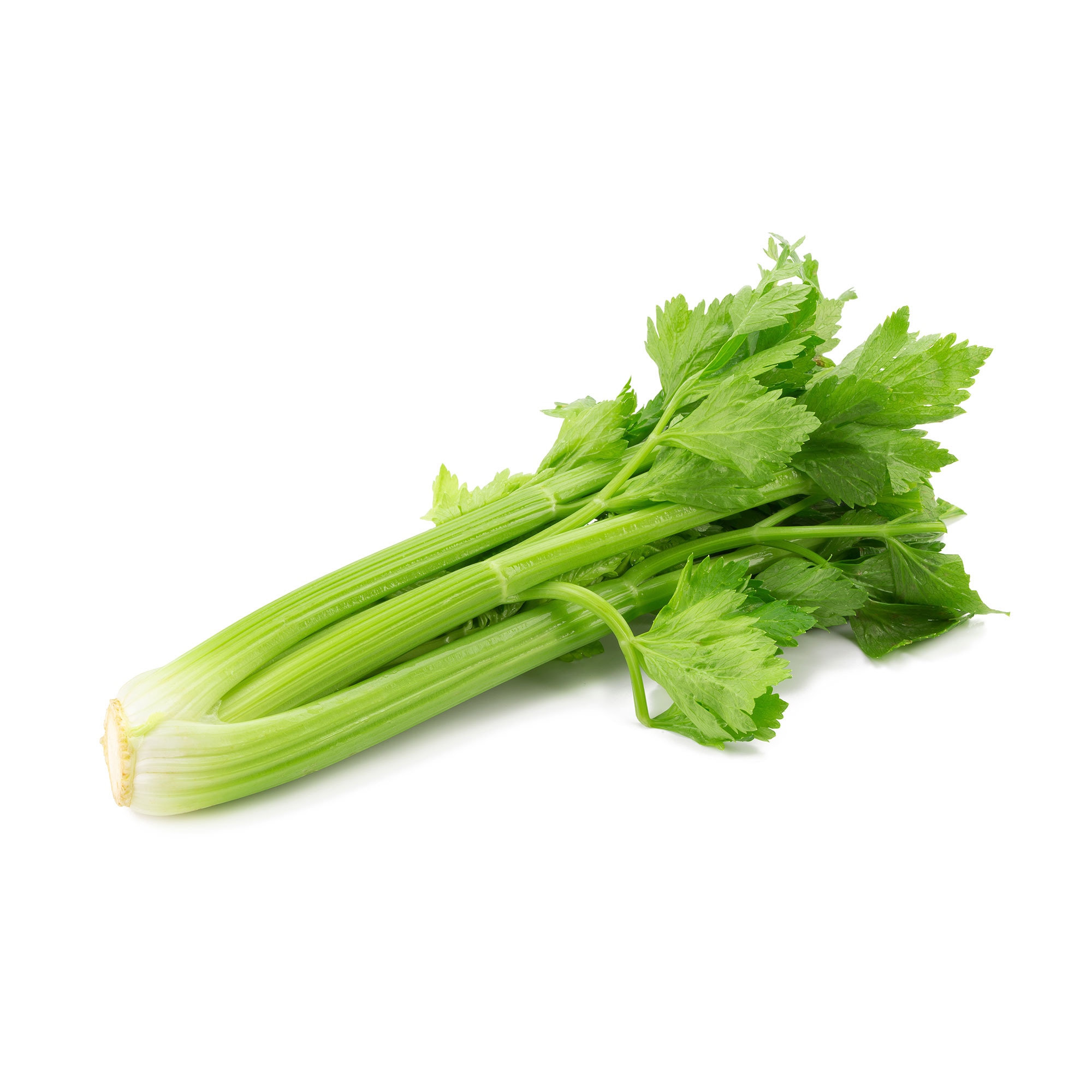 Bio Celer List 350 g - Akcija u trgovini Spar