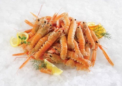 Svježi škampi 400 g - Akcija u trgovini Lidl