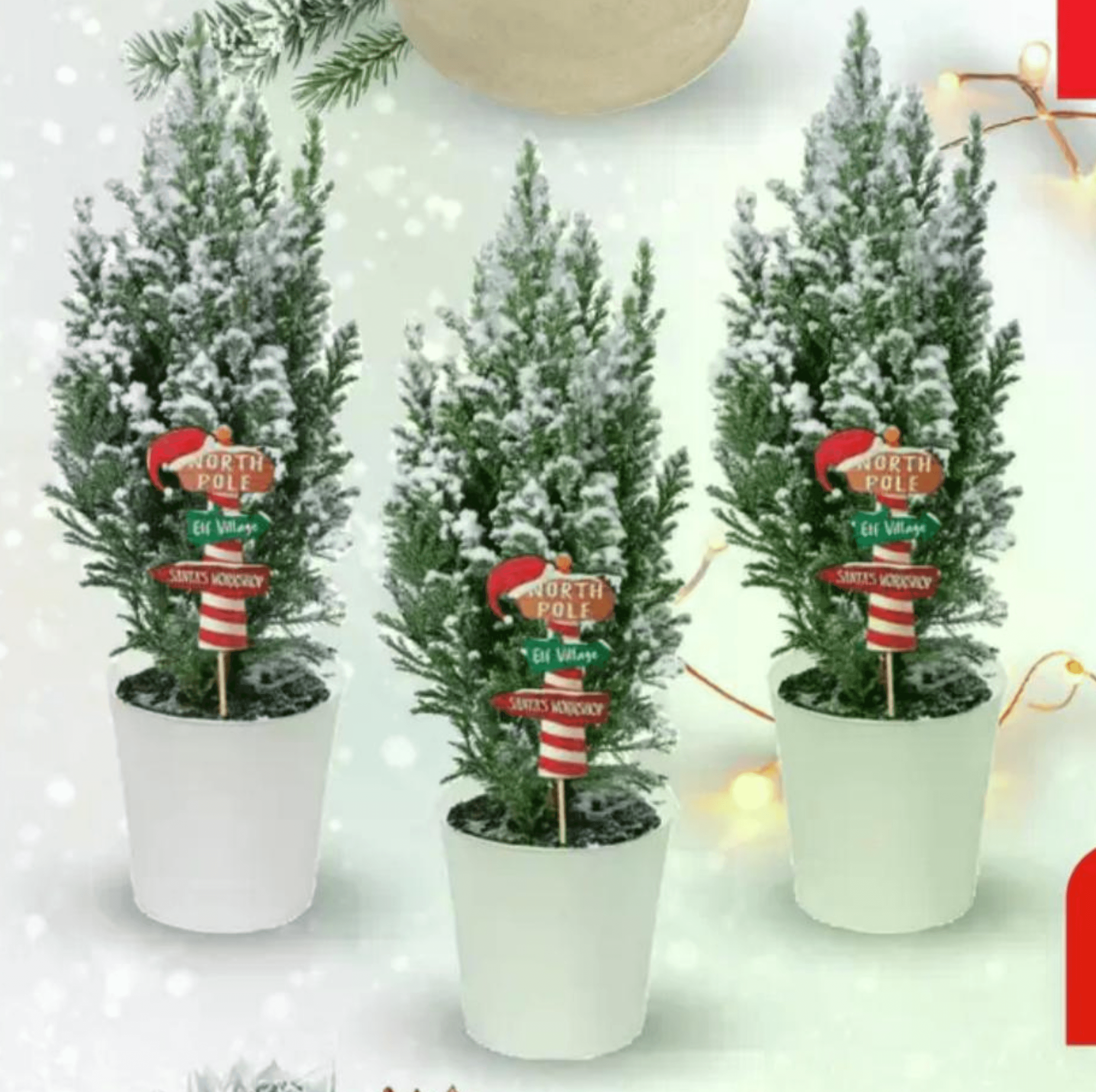 Božićno mini drvce