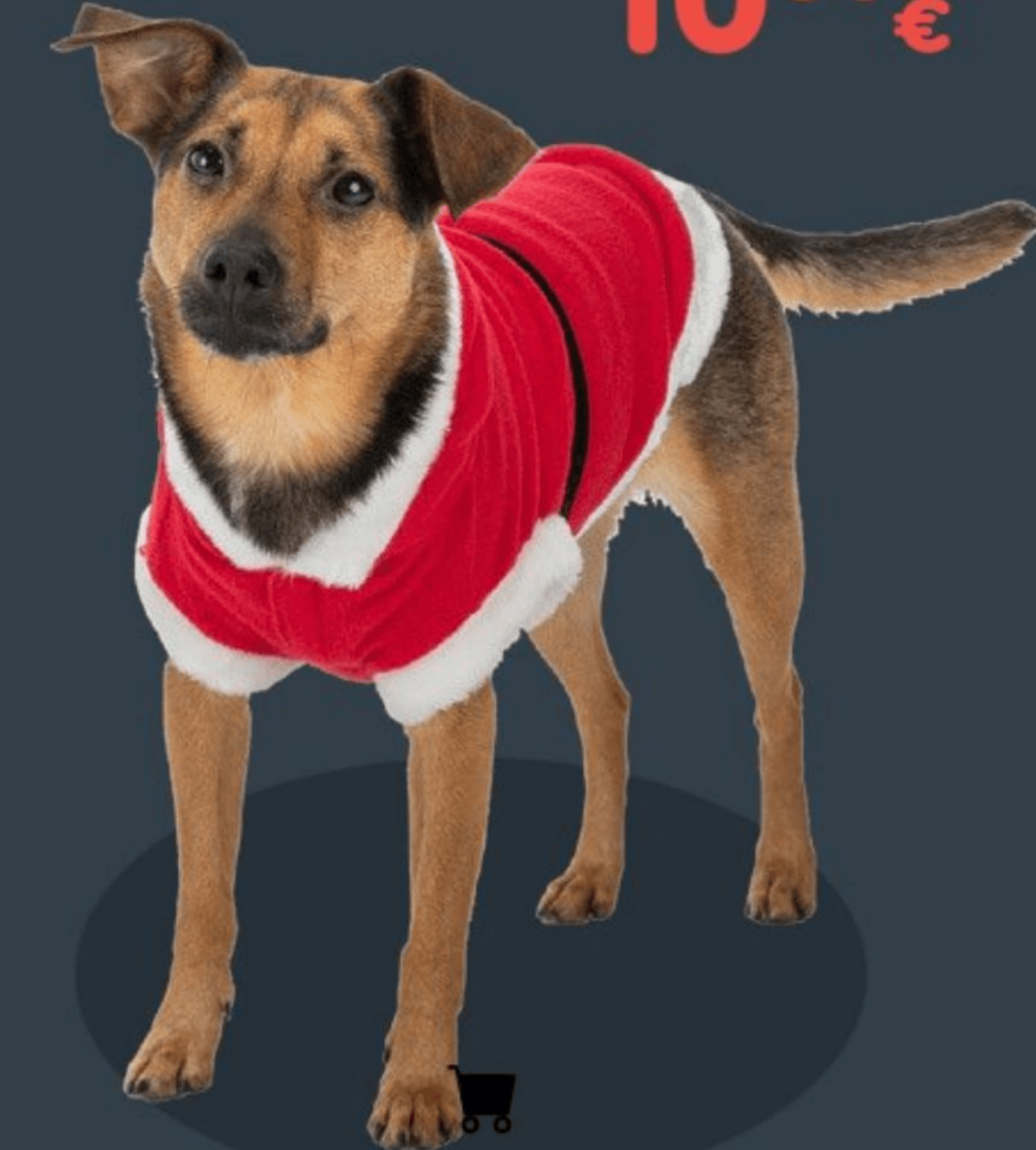 Trixie kaputić za pse s kapuljačom