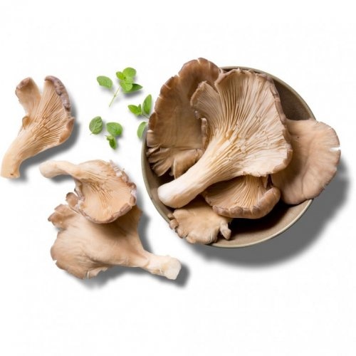 Domaća bukovača 500 g - Akcija u trgovini Kaufland