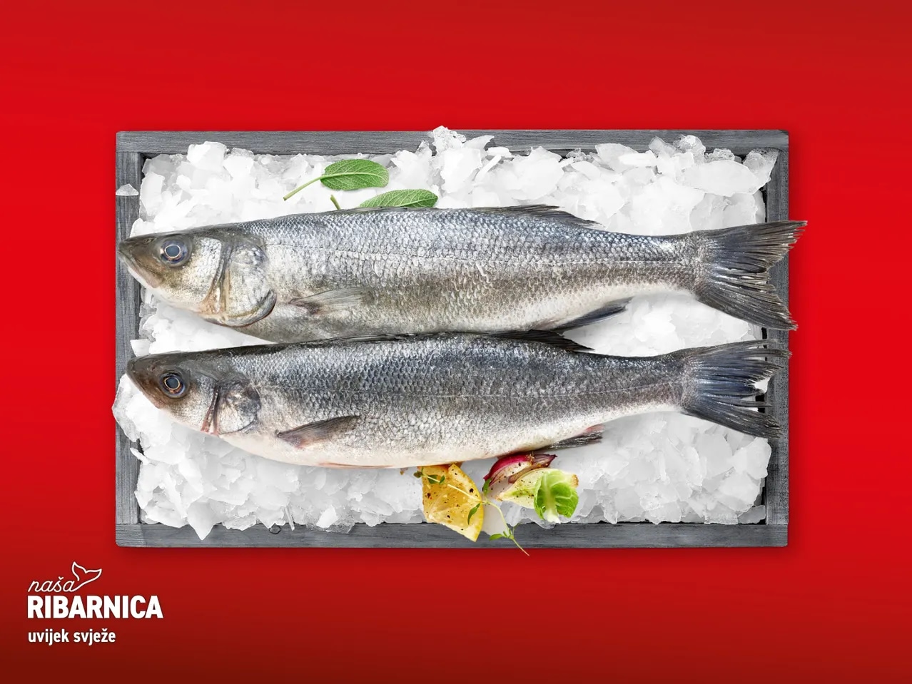 Svježi očišćeni jadranski brancin 720 g