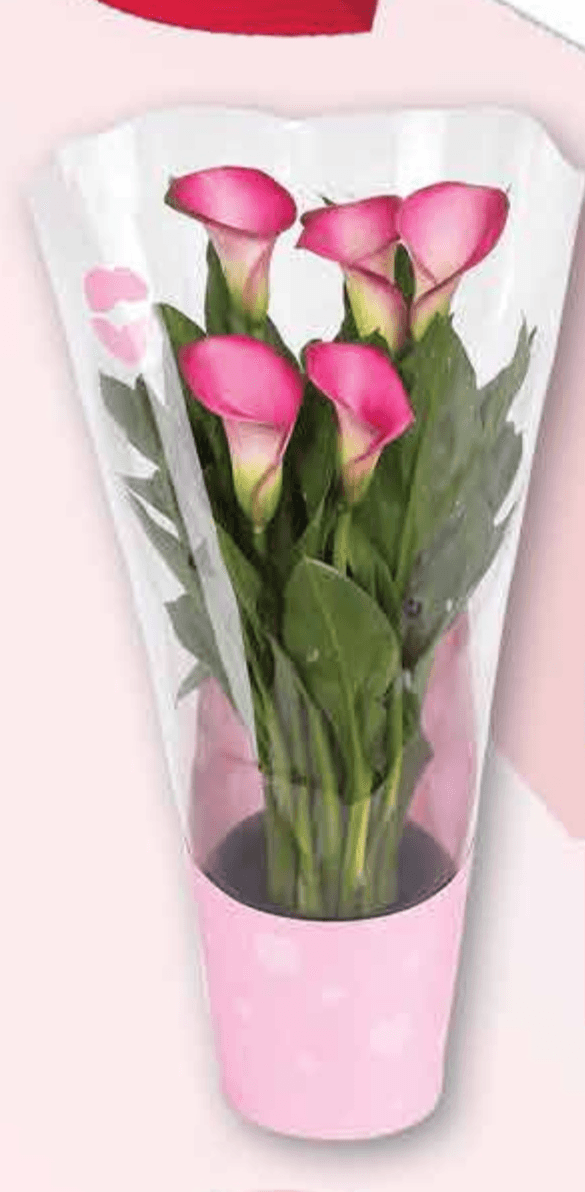 Roza kala - Akcija u trgovini Plodine