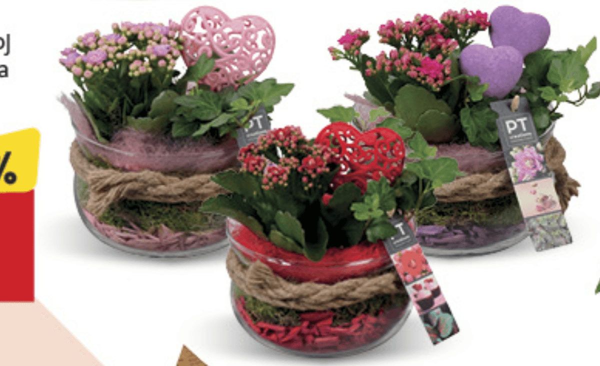 Vrtić Val - Akcija u trgovini Konzum