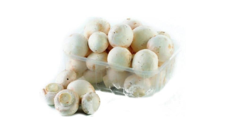 Šampinjoni Vrtovi Hrvatske 500 g