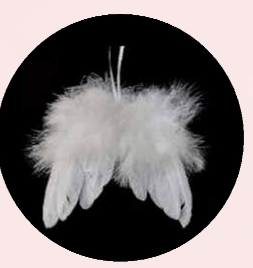 Krila ukras 14x15 cm