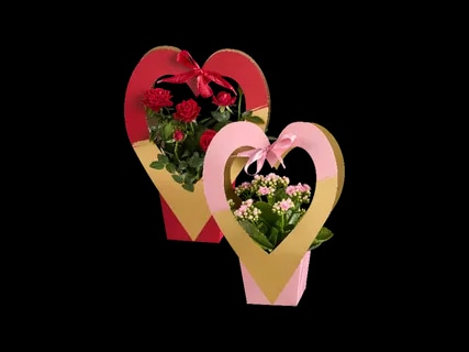 Ruža ili Kalanhoa Komad - Akcija u trgovini Lidl