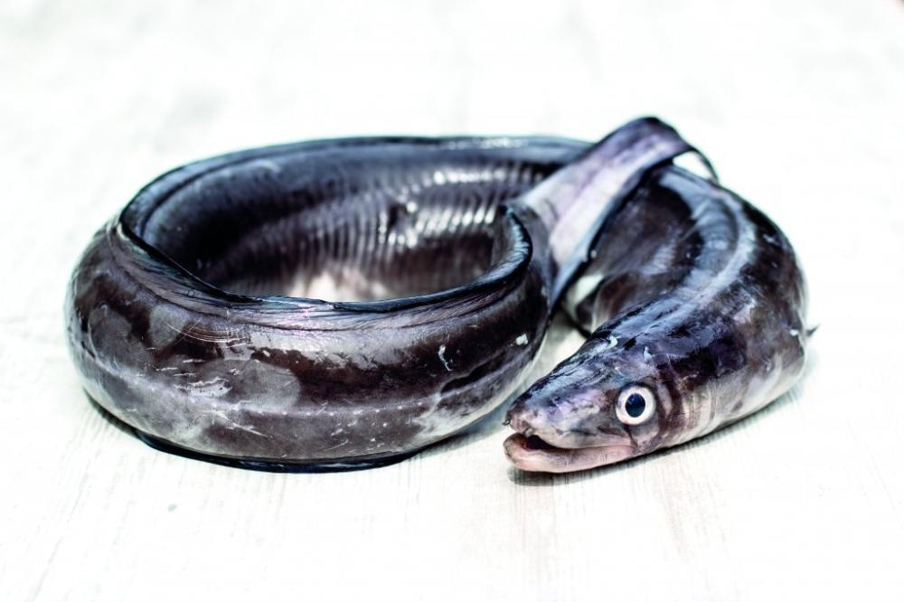 Cijeli ugor ili odrezak ugora 1 kg - Akcija u trgovini Spar