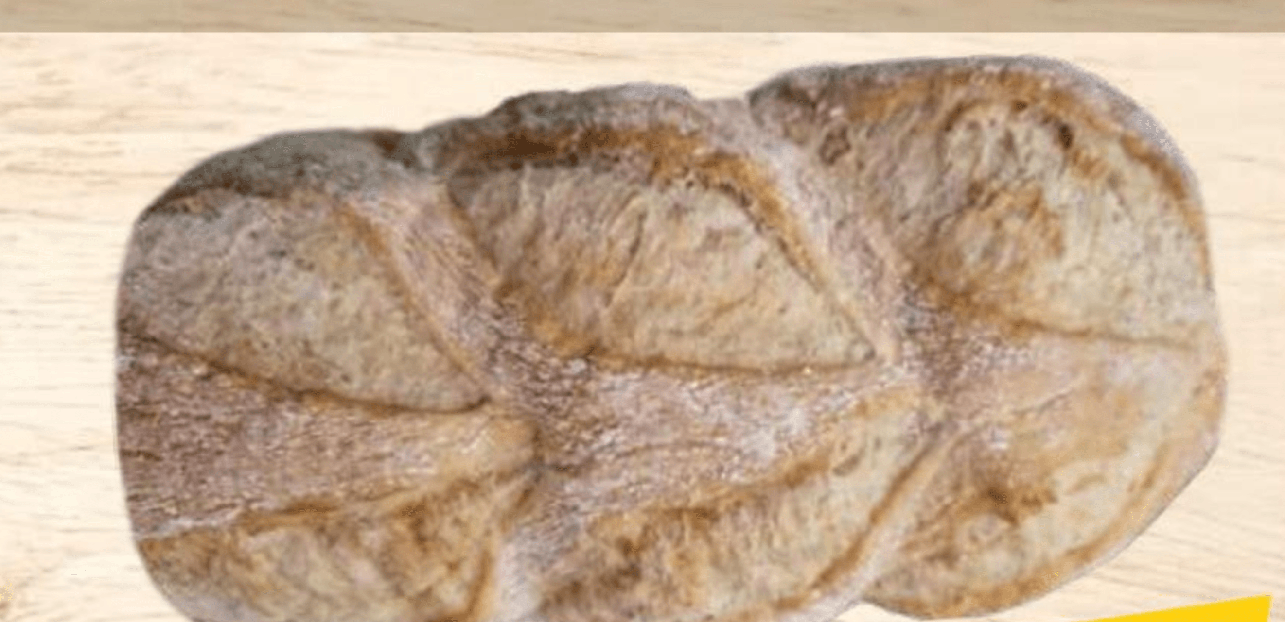 PONS Domaći kruh bijeli rustik 360g