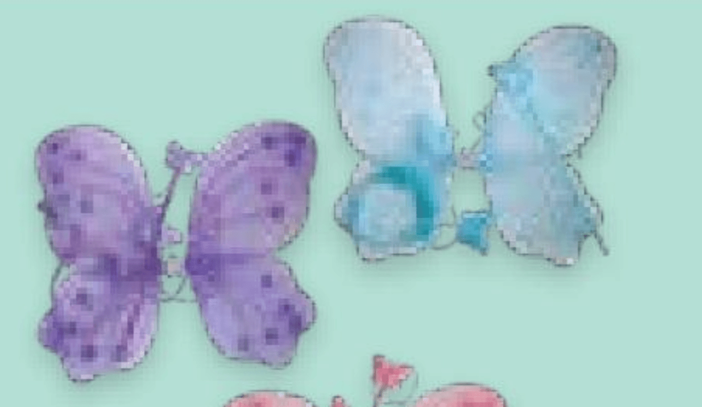 Set za leptira 1 set - Akcija u trgovini Spar