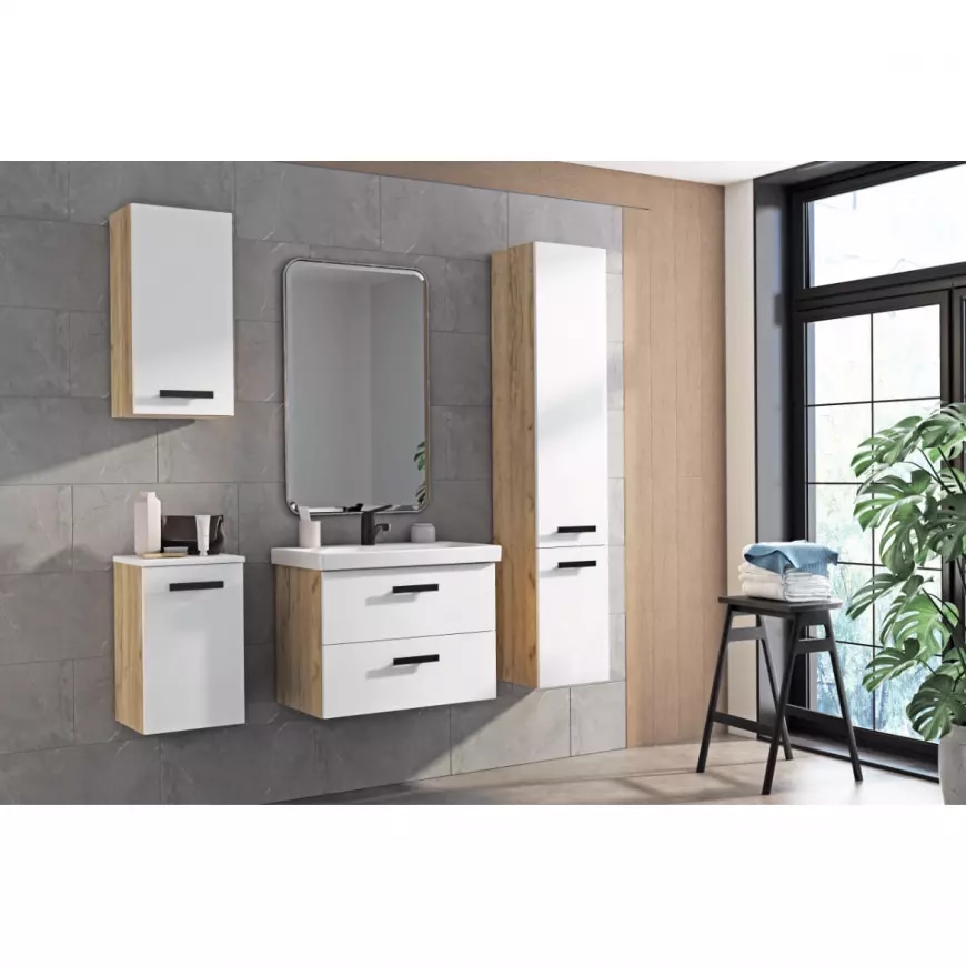 SET 65 ormarić + umivaonik