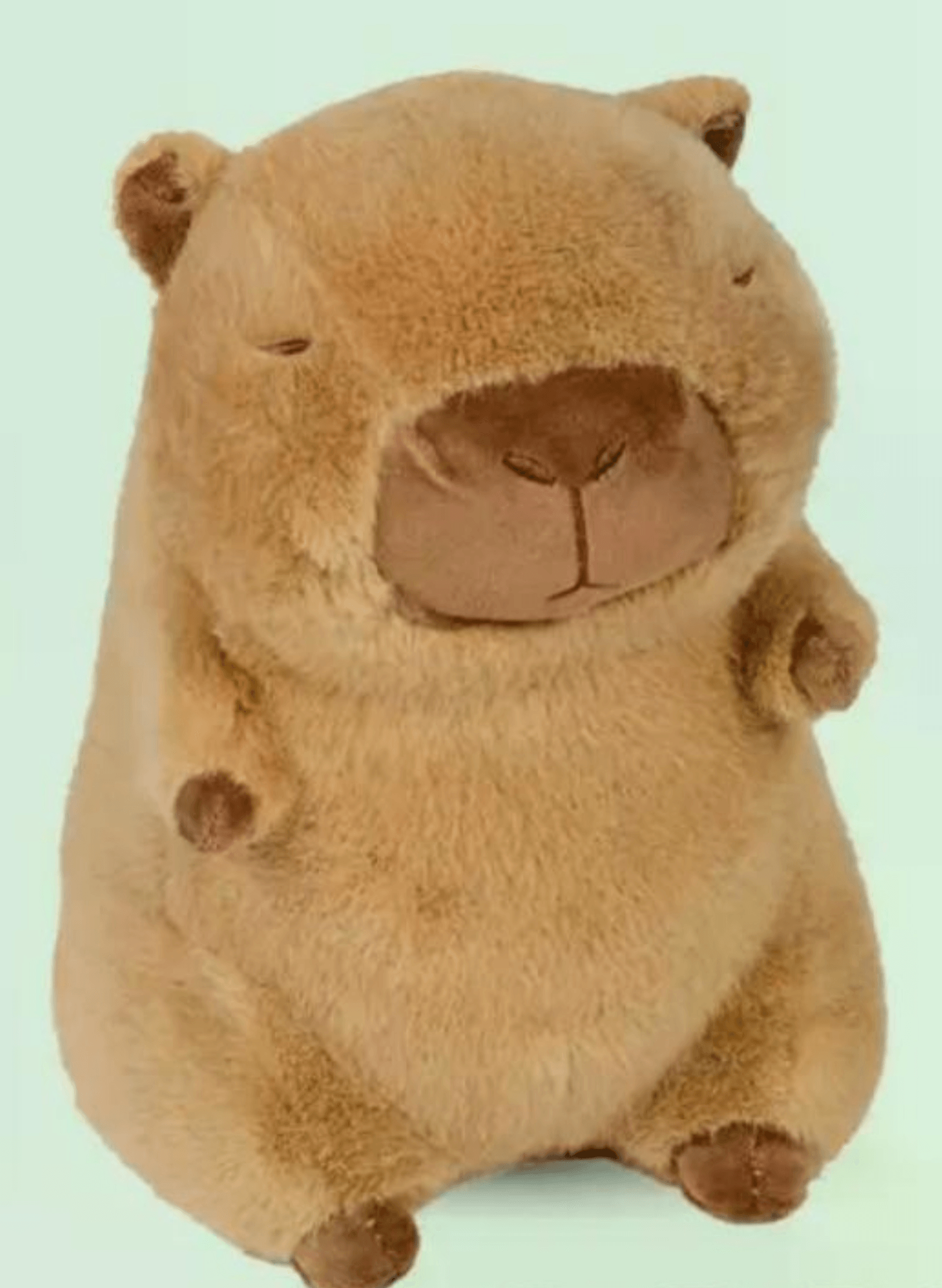 Plišana igračka kapibara