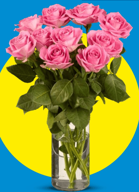 Ruže Ekskluziv 10 ruža - Akcija u trgovini Lidl