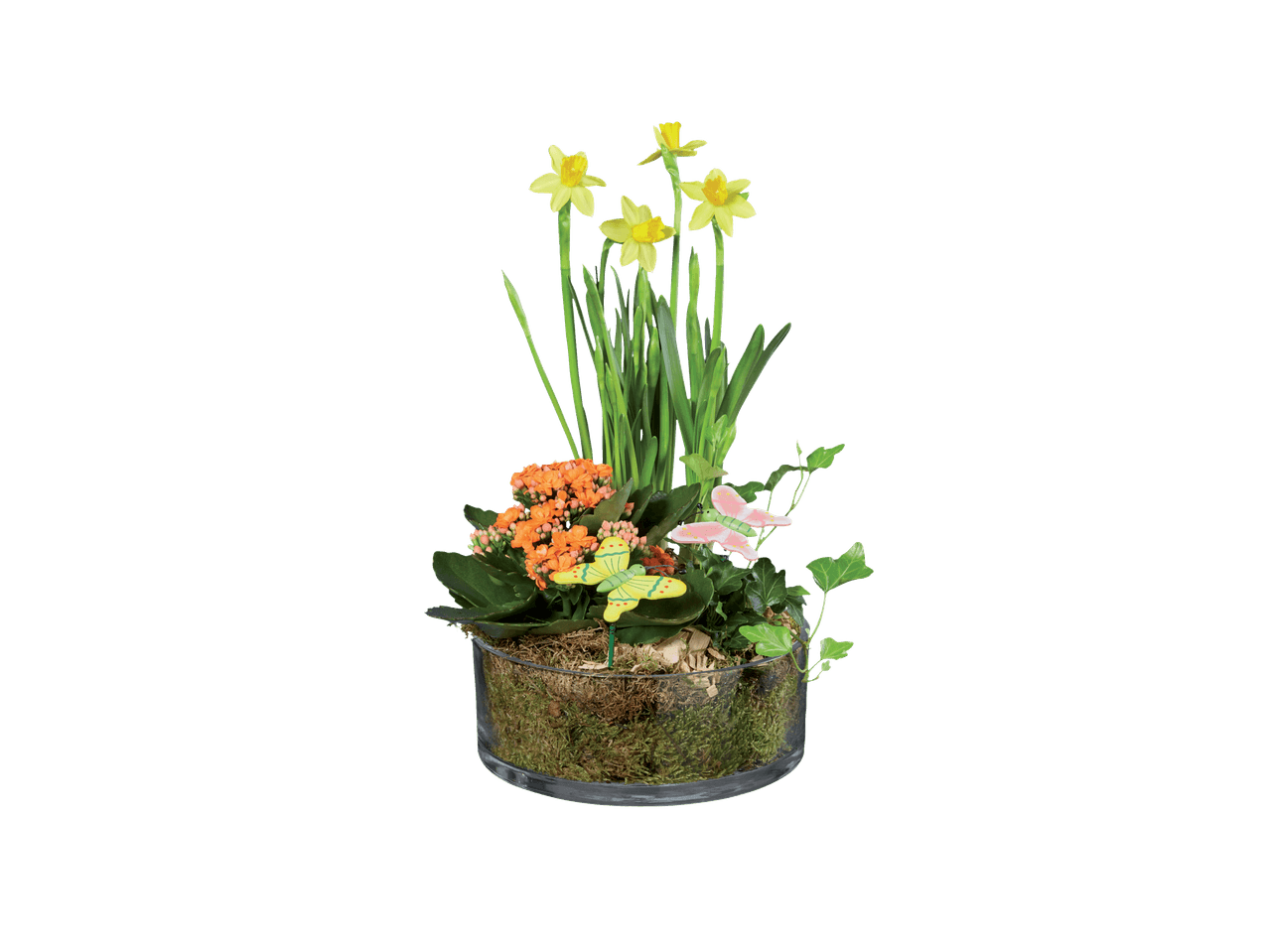 Aranžman - Akcija u trgovini Lidl