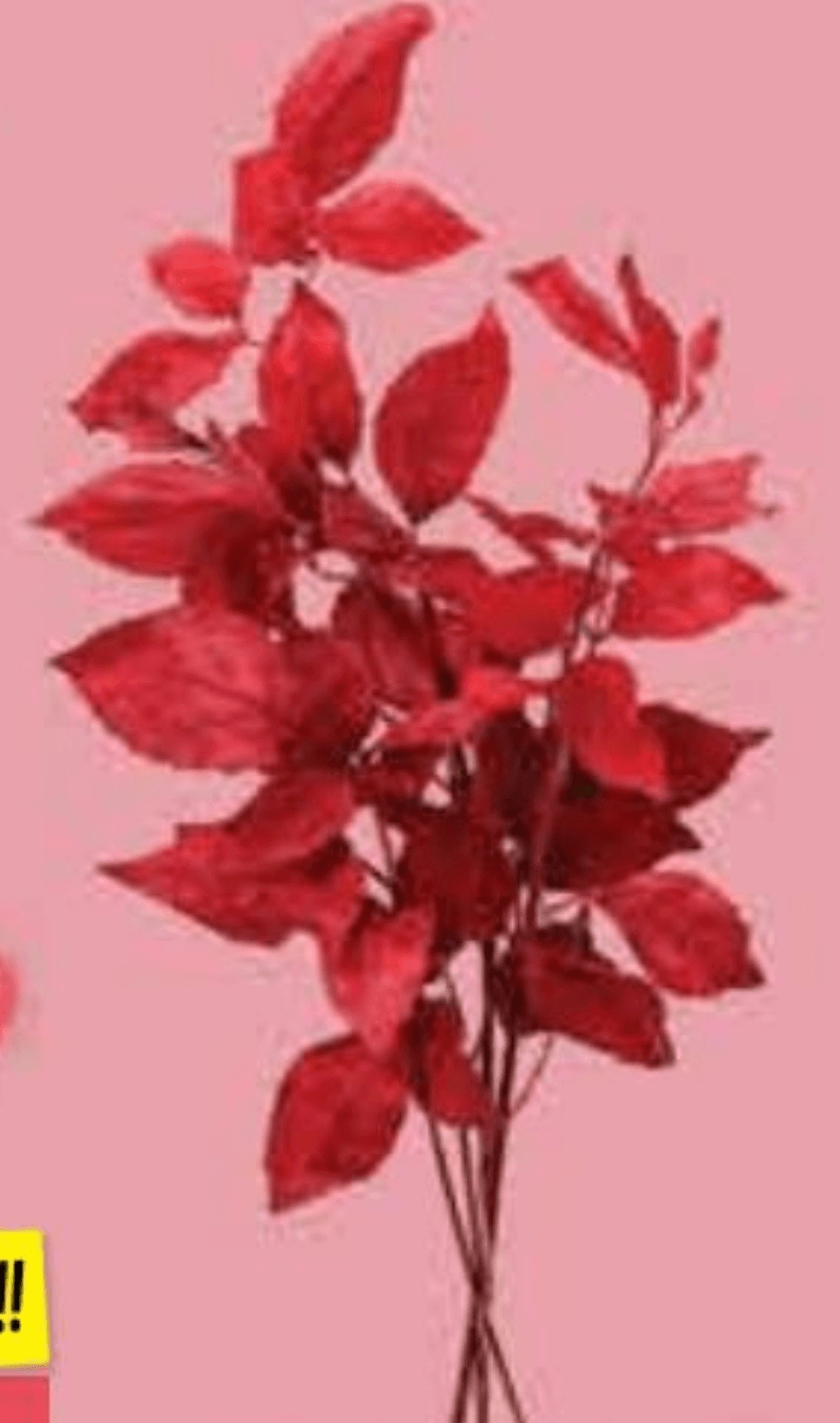 List umjetni 1 kom - Akcija u trgovini NTL