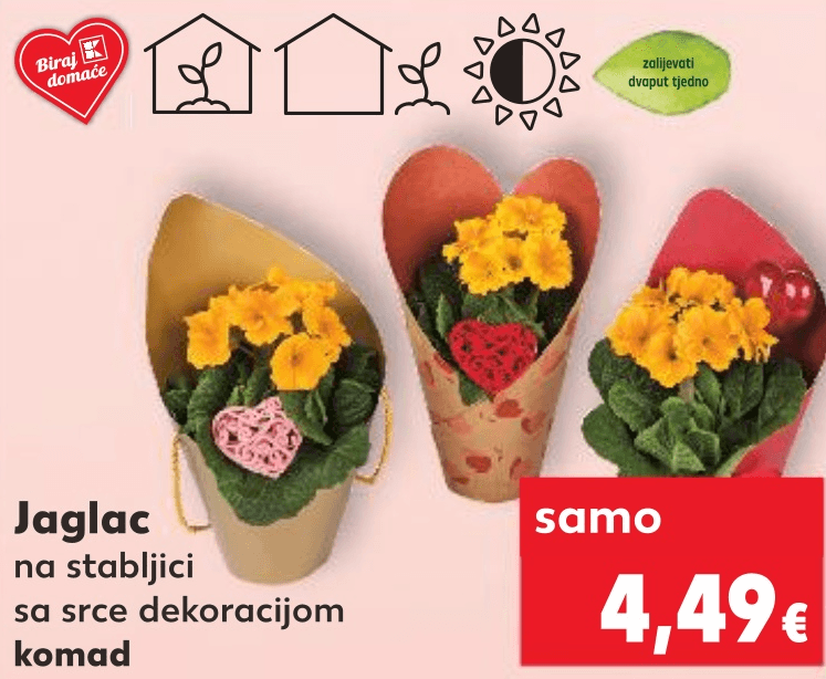 Jaglac komad - Akcija u trgovini Kaufland