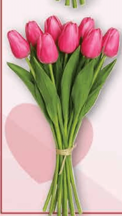 Buket tulipana 7 komada, 35 cm - Akcija u trgovini Plodine