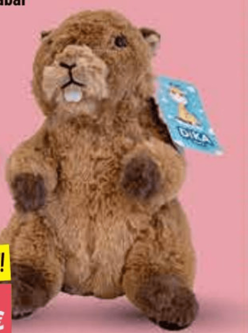 Igračka pliš dabar 1 kom - Akcija u trgovini NTL