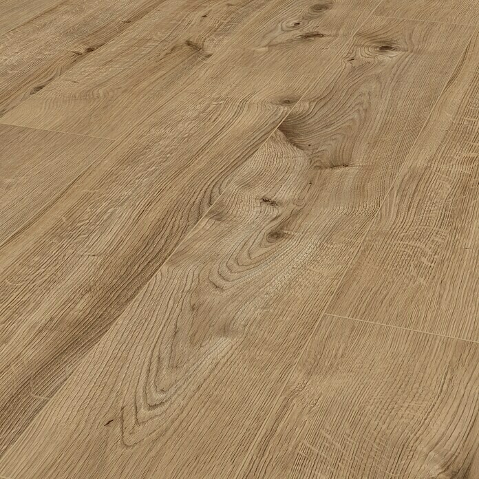 Sunny Side - Akcija u trgovini Bauhaus