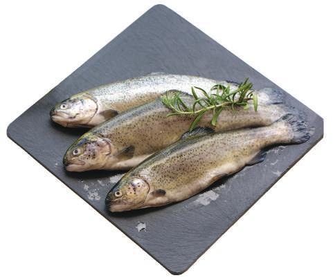 Kalifornijska pastrva 1 kg