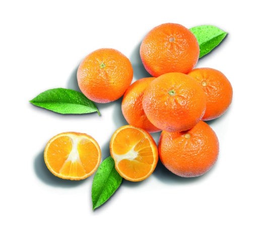 Klementina 1 kg - Akcija u trgovini Plodine