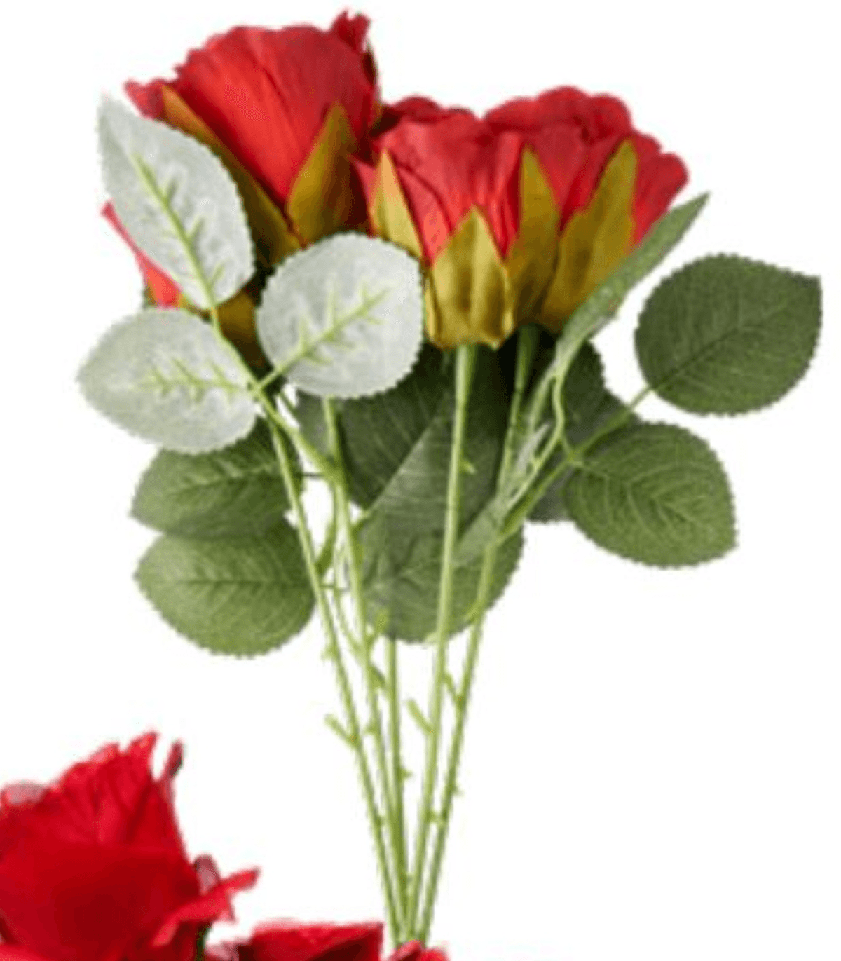 Buket ruža S - Akcija u trgovini Tedi