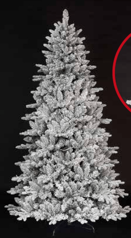 Tarrington House Jelka