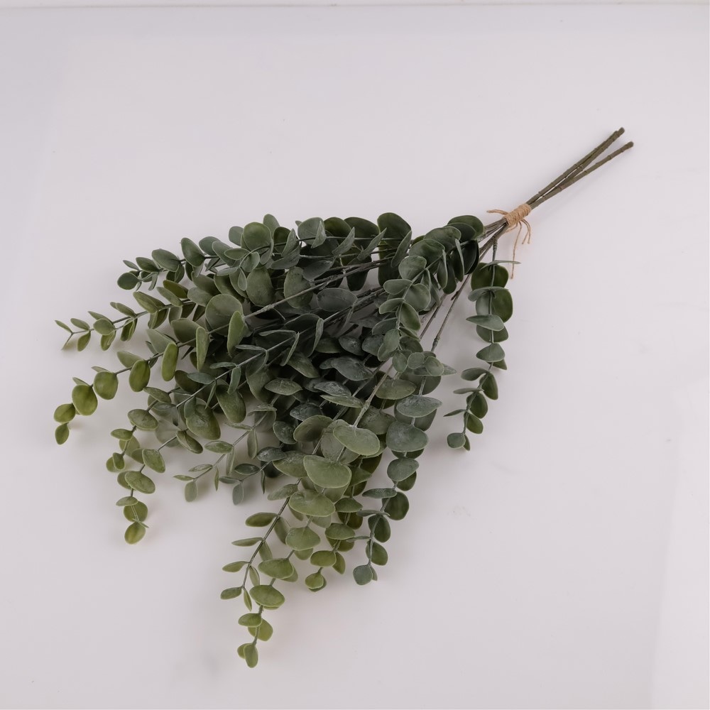 Buket eukaliptusa 3 komada - Akcija u trgovini Plodine