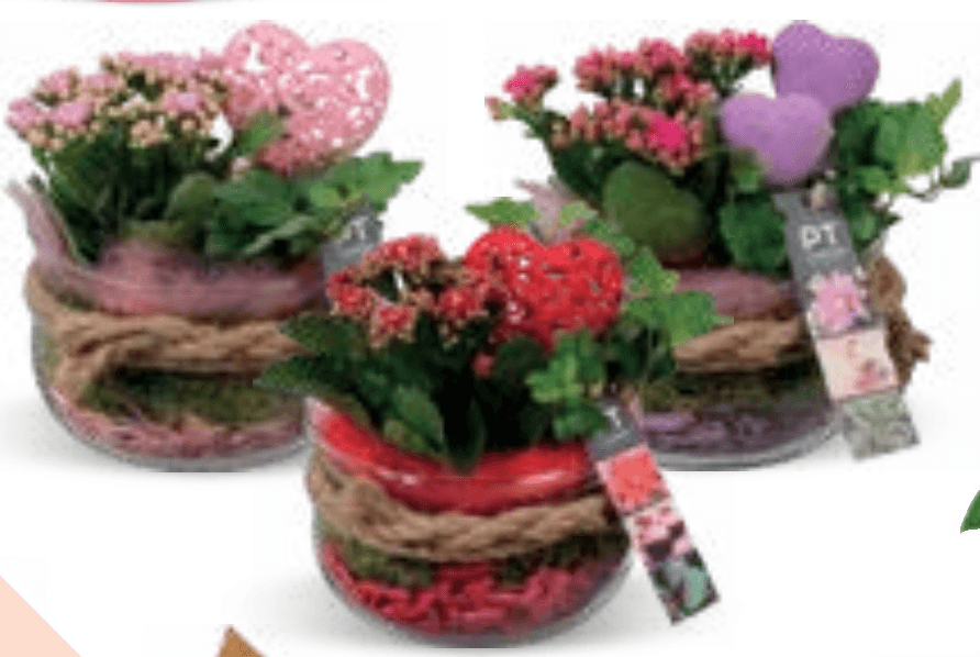 VRTIĆ VAL - Akcija u trgovini Konzum