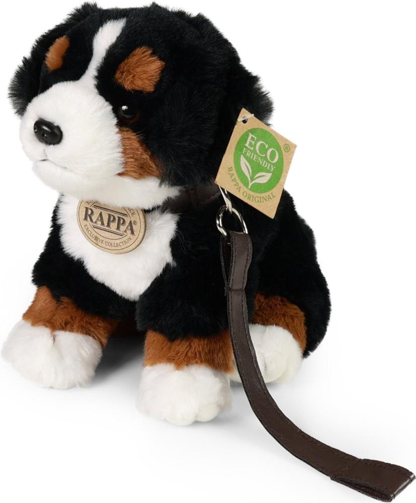 Bernski planinski pas Cca 20 cm.