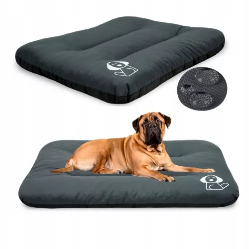 Madrac za pse - Akcija u trgovini Zoo City