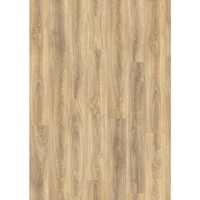 Bardolino - Akcija u trgovini Bauhaus