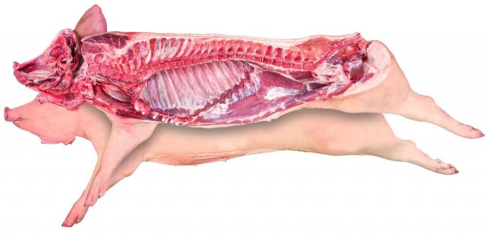 Svinjska polovica EWG 1kg