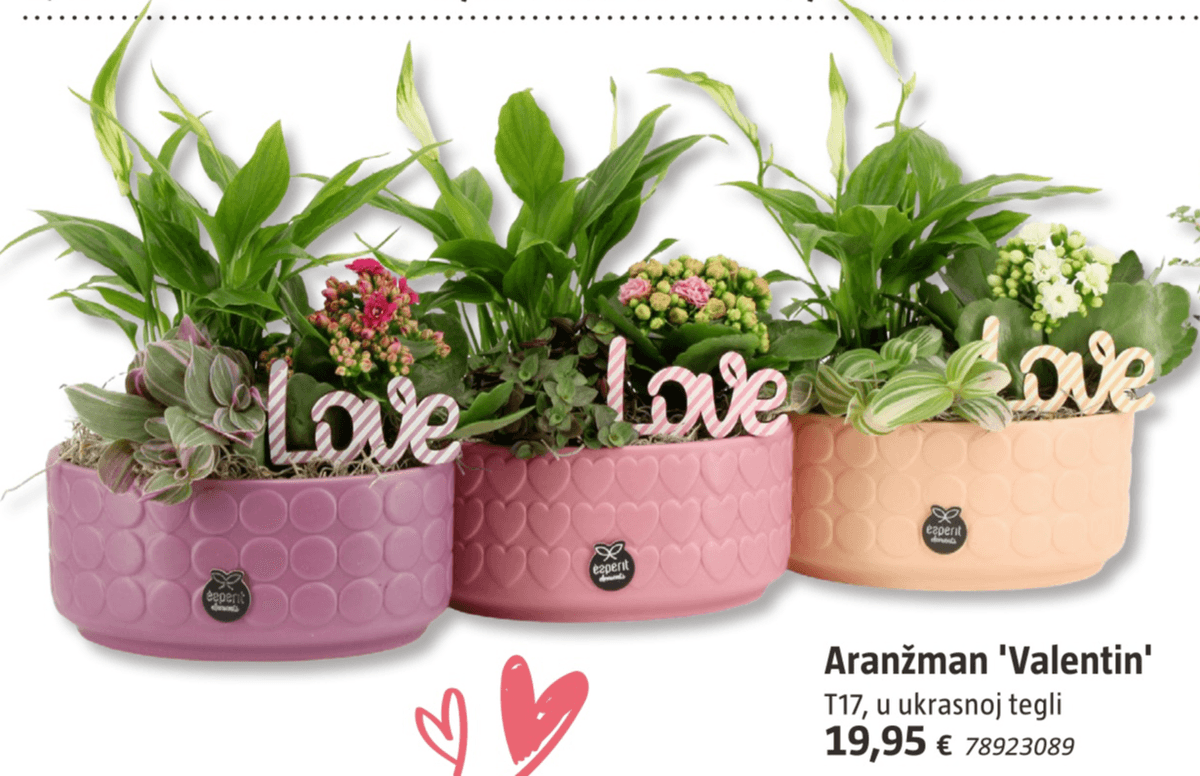 Aranžman 'Valentin' T17 - Akcija u trgovini Bauhaus