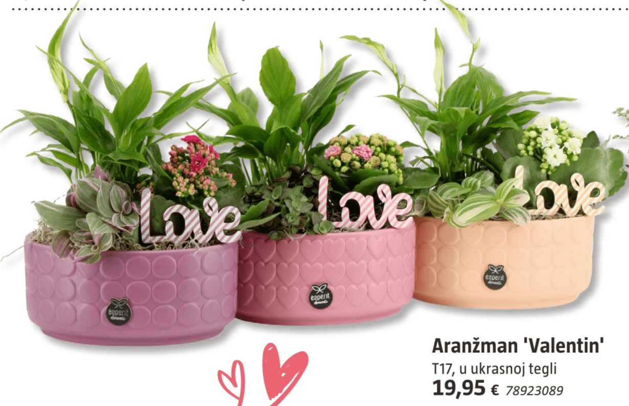 Aranžman 'Valentin' T17 - Akcija u trgovini Bauhaus