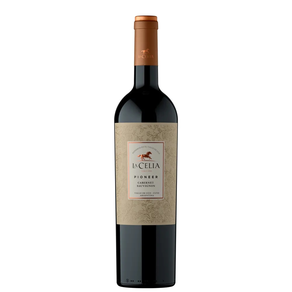 CABERNET FRANC Pioneer 0,75L