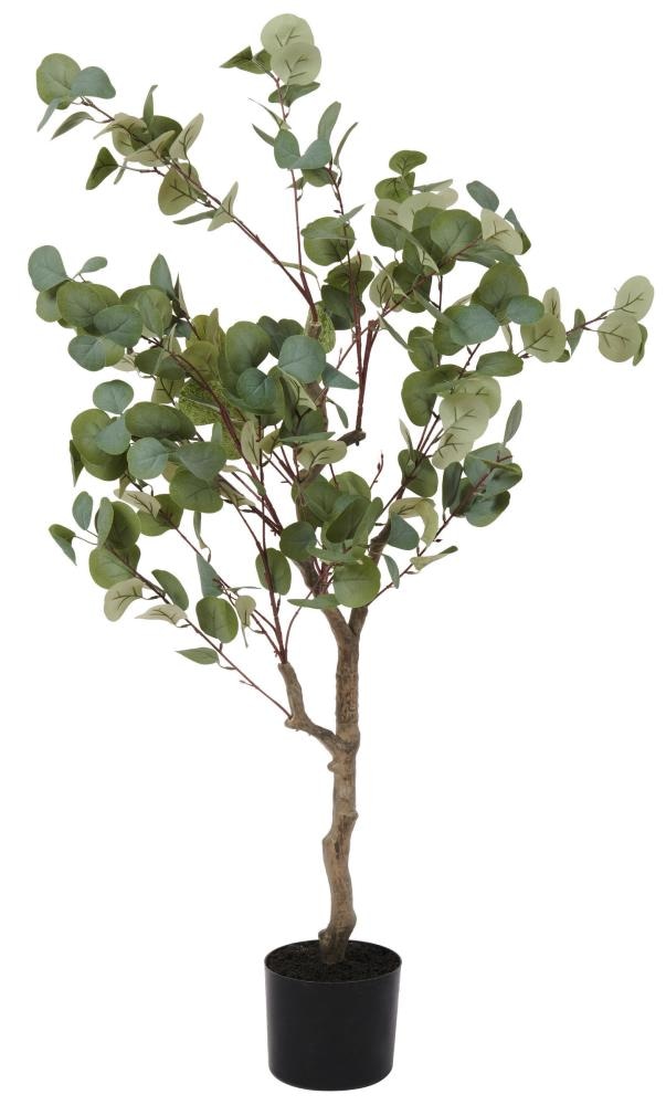 Eukaliptus Ø 30 cm, v. 150 cm - Akcija u trgovini Lesnina