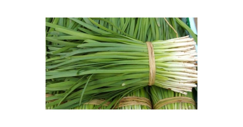 Kineski vlasac 'Neko'