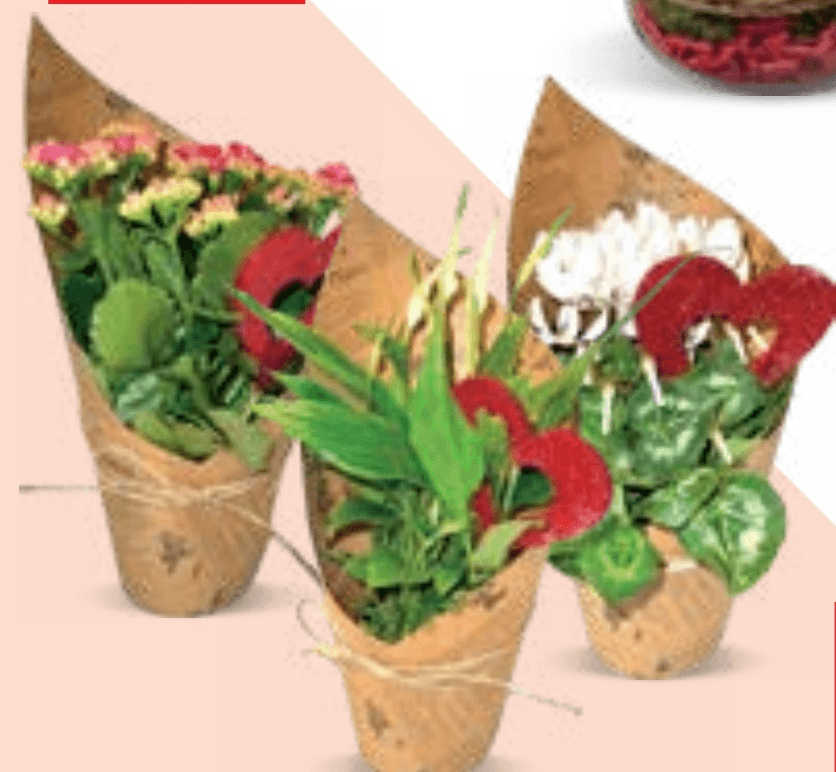 CVATUĆE BILJE - Akcija u trgovini Konzum