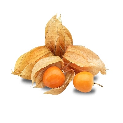 Physalis 100 g