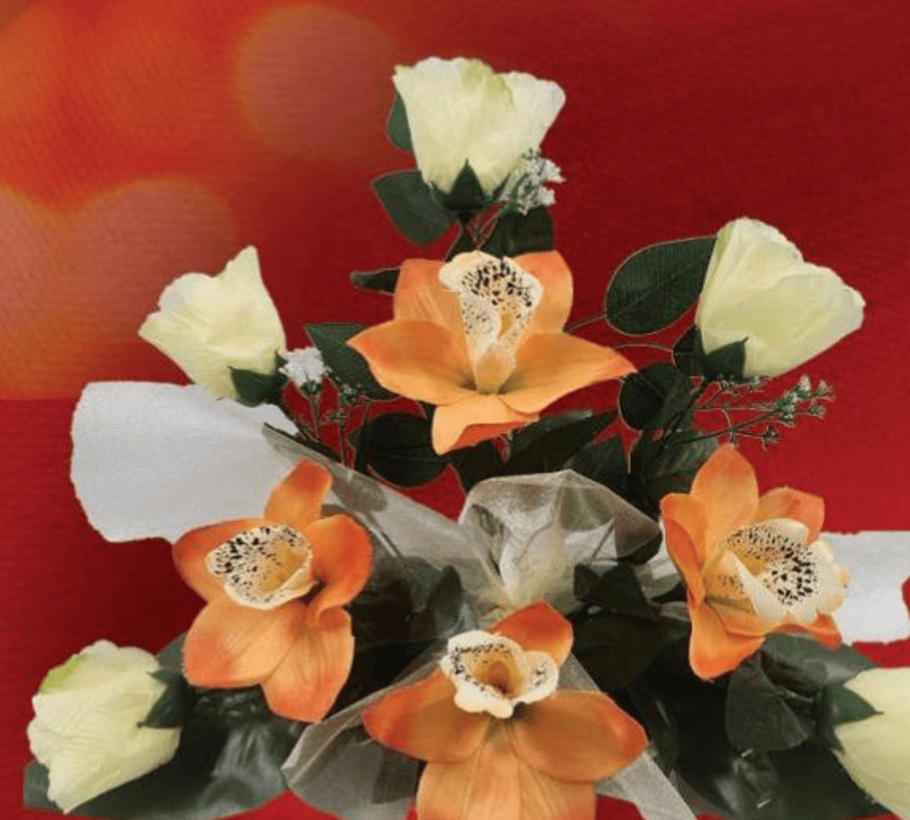 Ruža u posudi - Akcija u trgovini KTC