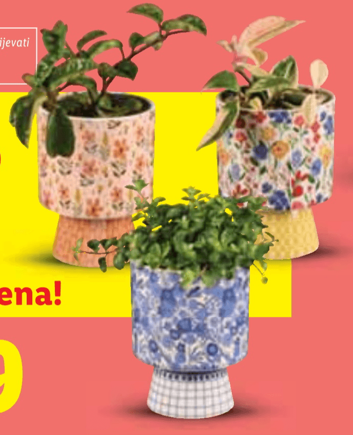 Zeleni mix Komad - Akcija u trgovini Lidl