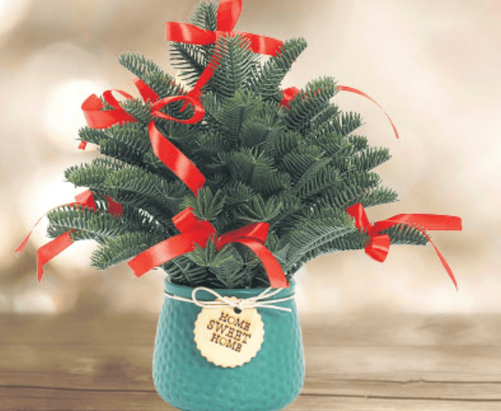 Dekoracija božićna