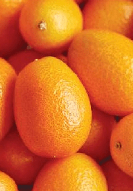 Kumkvat 120 g - Akcija u trgovini Tommy