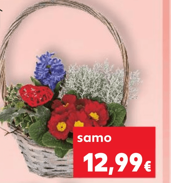 Cvjetna košara komad - Akcija u trgovini Kaufland