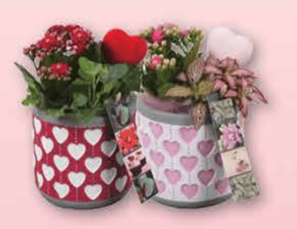 Vrtić Valentinovo - Akcija u trgovini Plodine