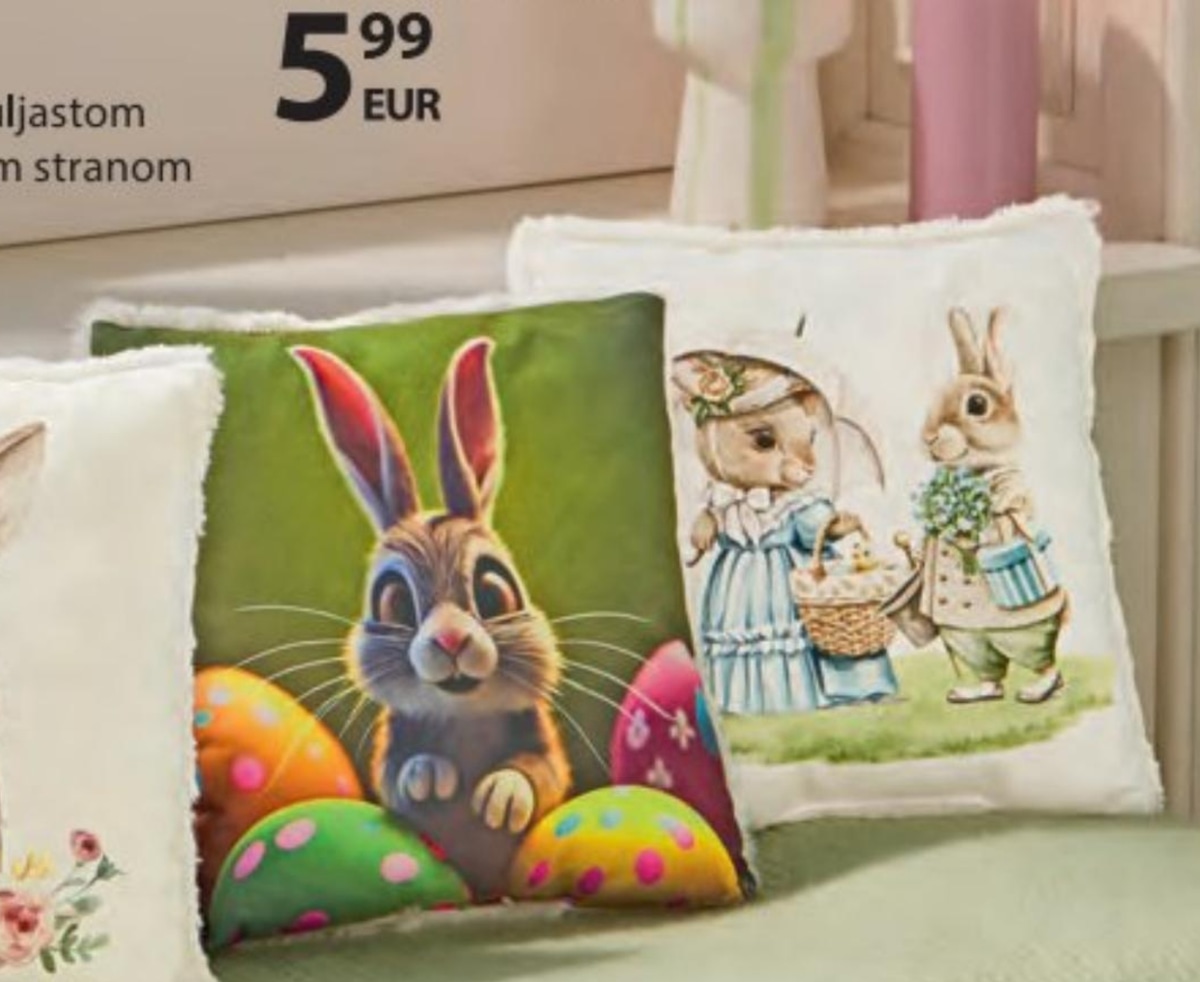 Dekorativni jastuk - Akcija u trgovini NKD