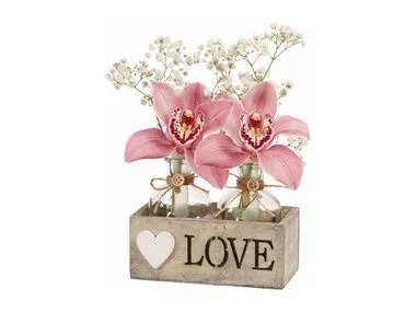 Orhideja Komad - Akcija u trgovini Lidl