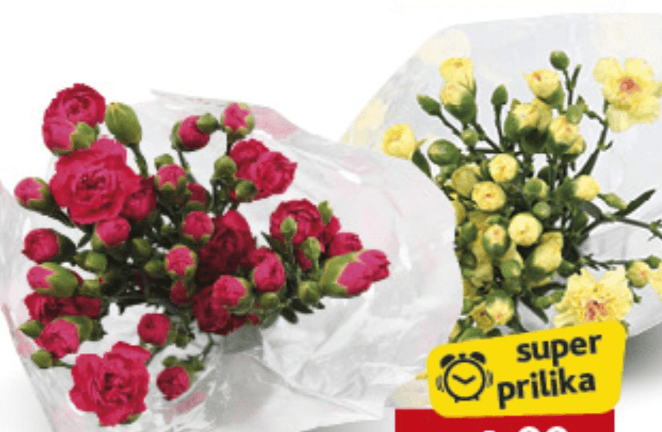 Buket 9 mini karanfila