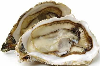 Kamenice 1 kg - Akcija u trgovini Spar